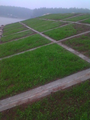 湖南長沙月亮島生態(tài)混凝土